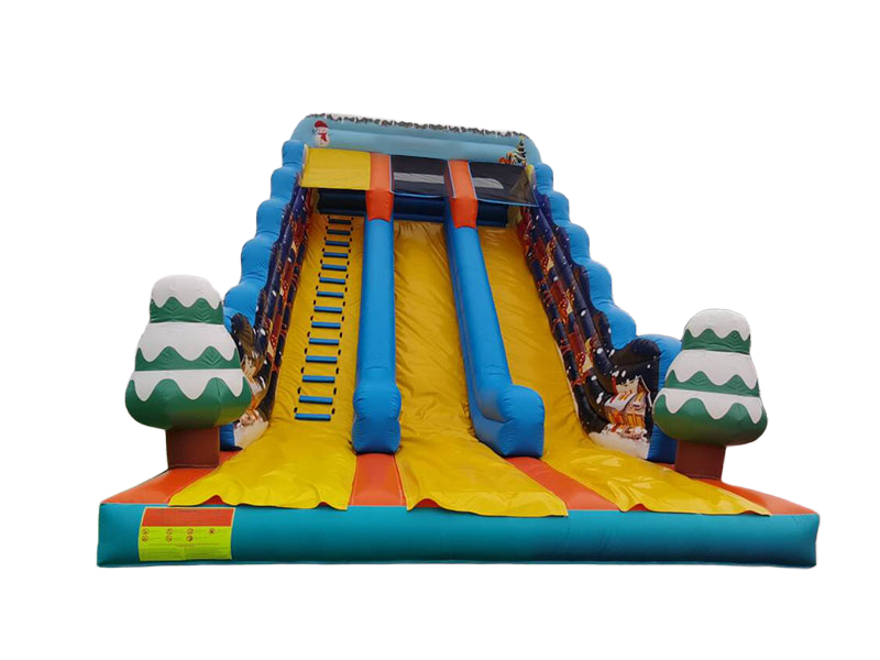 backyard inflatable slides